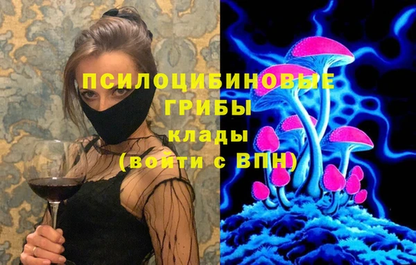 индика Алзамай