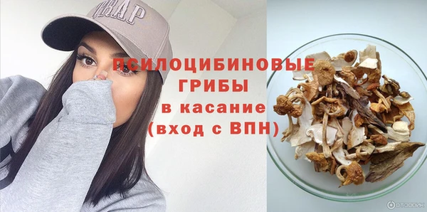 индика Алзамай