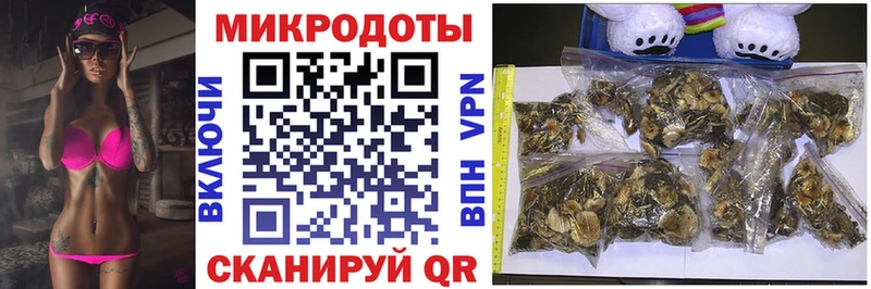 Галлюциногенные грибы Psilocybine cubensis  Подольск 